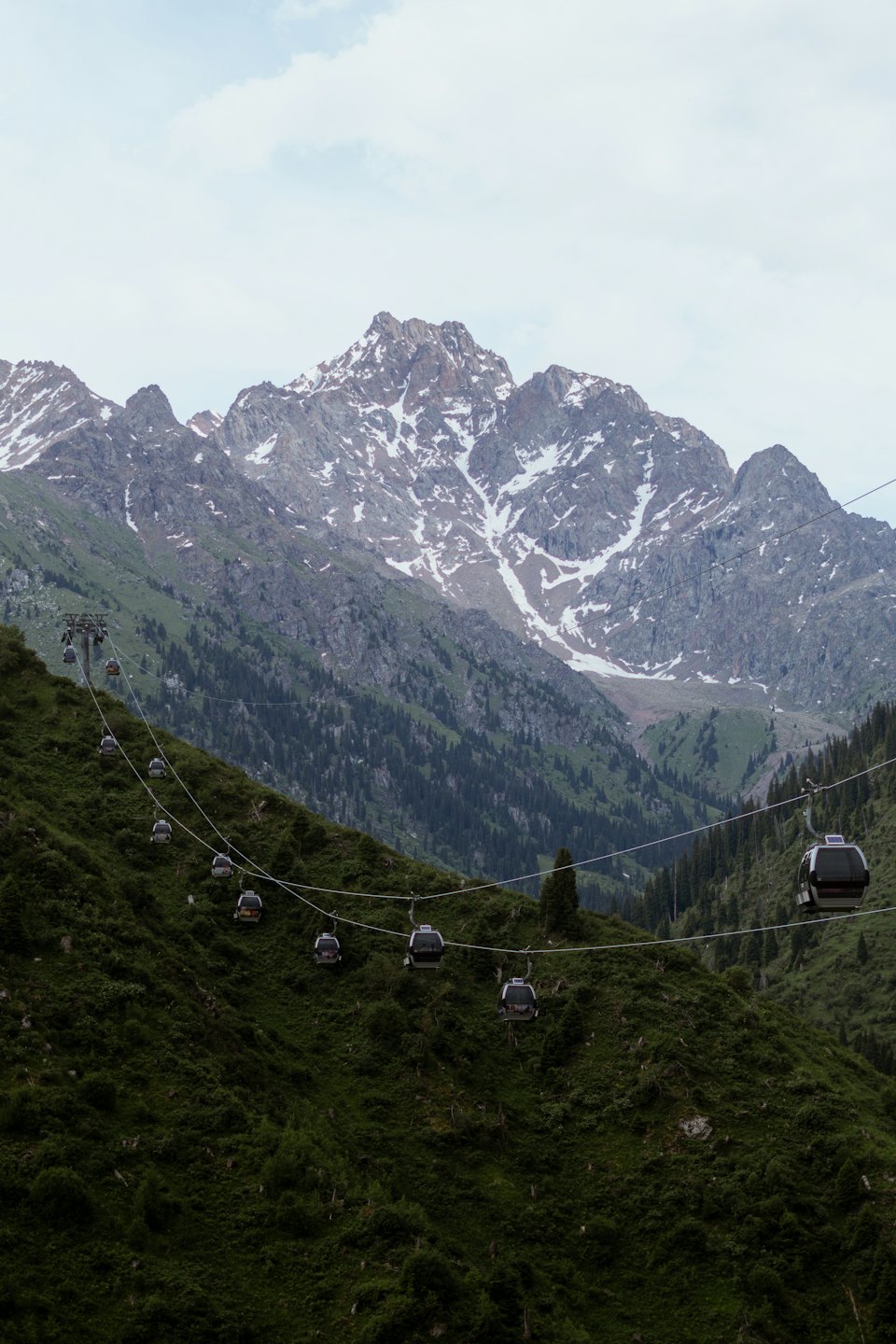 Cabine della funivia che salgono su un ripido monte coperto di pini verso cime innevate.